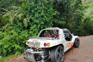 Island tour with the beach buggy